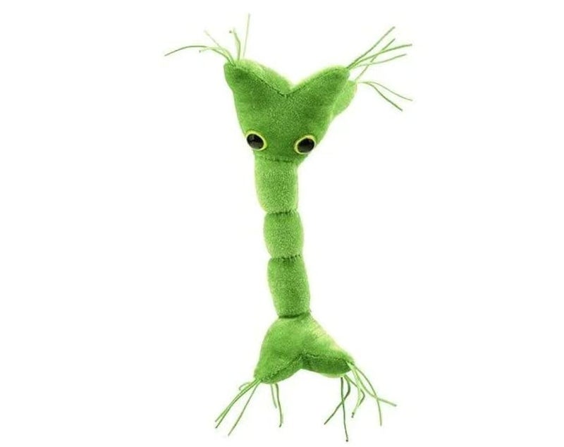 GIANT MICROBES Nerve Cell Plush, Neuron Plush, Neuroscience Gift, Neurology Gifts, Science Plushies, Neuron Model Anatomy, Psychology Gifts, Psychology Decor, Brain Gift, TBI, MS Awareness - Image 1